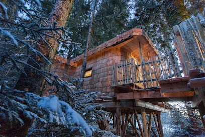 Domaine De L'Authentique Cabanes Dans Les Arbres Chambres D'hôtes, Hôtel à Fournet-Blancheroche
