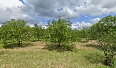 GITE LE SUD - ROUFFIGNAC-SAINT-CERNIN-DE-REILHAC - SARLAT, Hôtel à Rouffignac-Saint-Cernin-de-Reilhac
