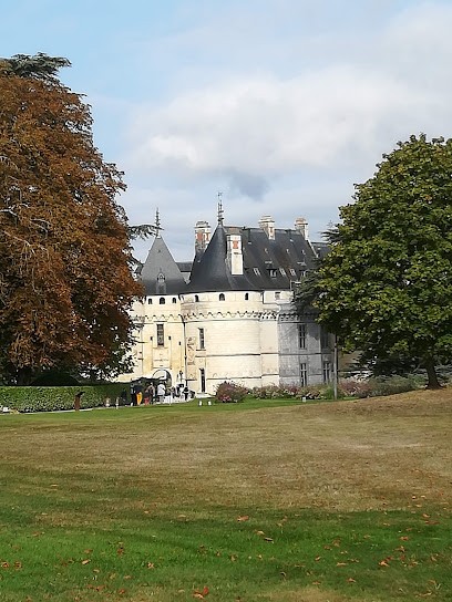 La Tete Noire, Hôtel à Montrichard Val de Cher