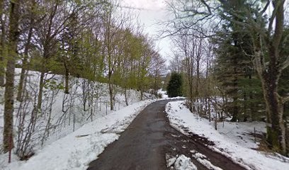 Bourdel Galinier Martine Denise Reine, Hôtel à Murat-sur-Vèbre