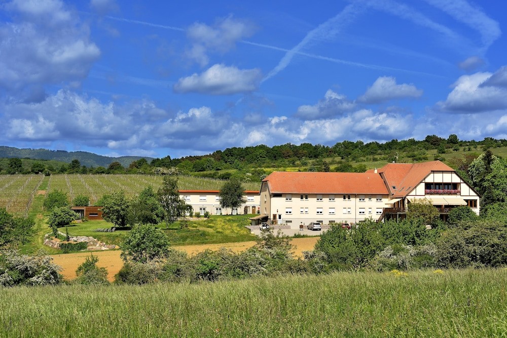 Hôtel du Bollenberg, Restaurant Côté Plaine et Spa, Hôtel à Westhalten