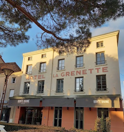 Hôtel La Grenette, Hôtel à Roanne