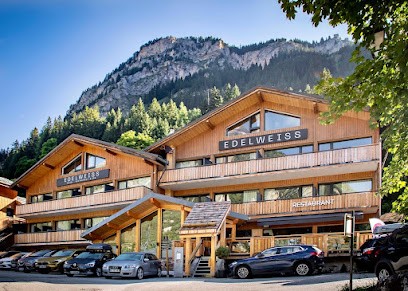 Hotel L'Edelweiss, Hôtel à Pralognan-la-Vanoise