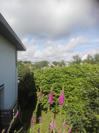 Auberge de la Route, Hôtel à Naves