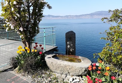 Hotel Le Léman, Hôtel à Saint-Gingolph