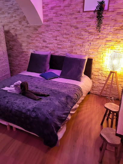 Le Spa De La Cathédrale, Hôtel à Troyes