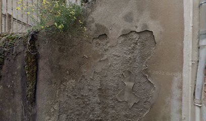 Le Merle Monqueur, Hôtel à Millau