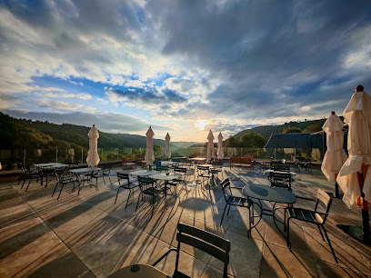 Hôtel - Spa La Borie D'hélipse & Restaurant Le Puy Tilleul Hôtel à Tournemire