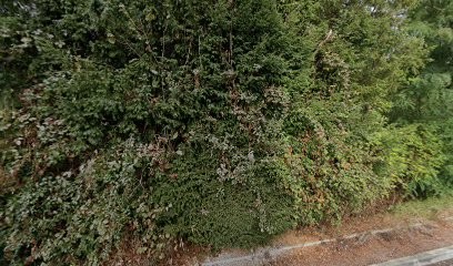 Soc Hoteliere D'exploitation Economiqu, Hôtel à Saran