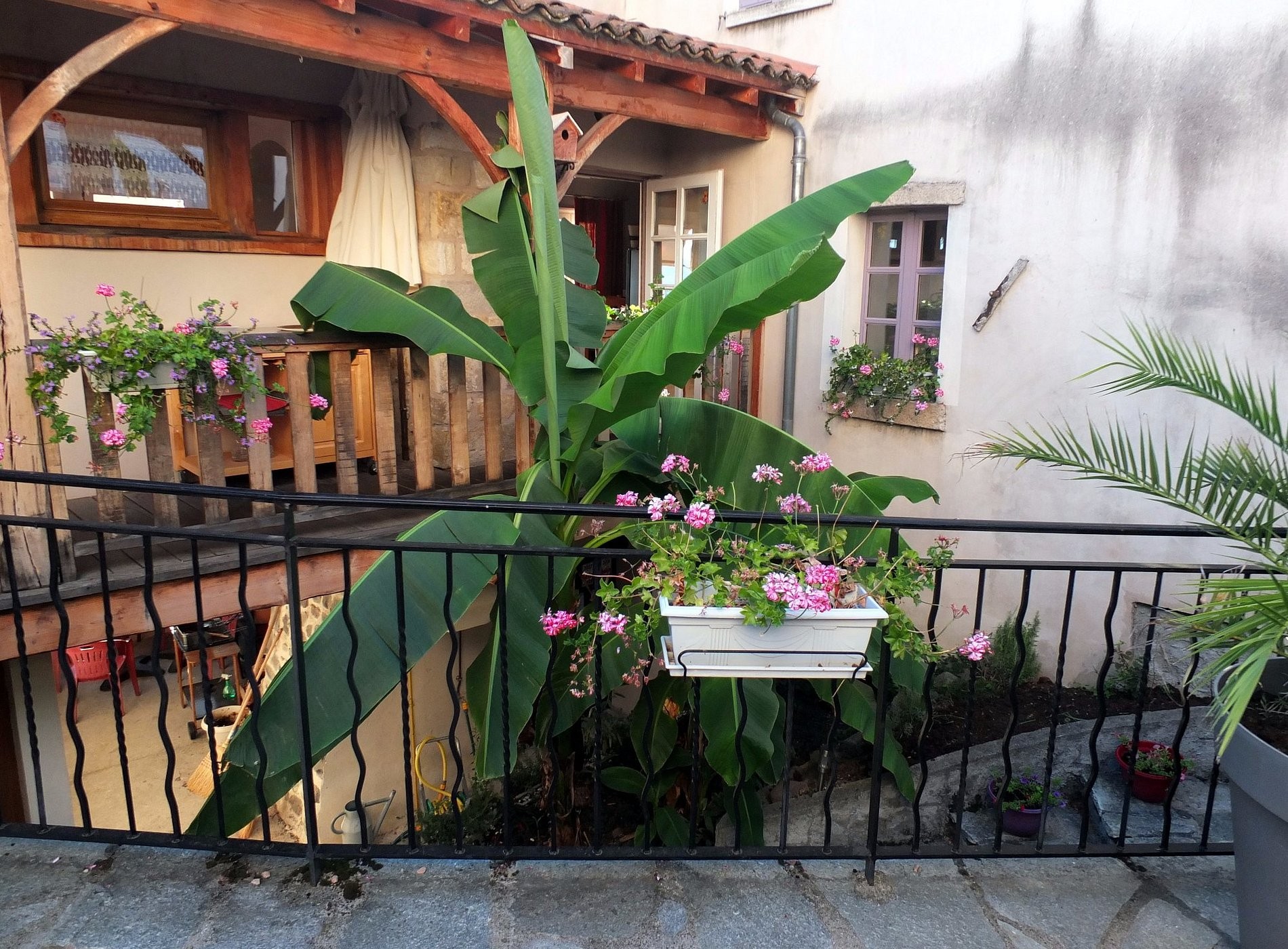 Auberge de Margot, Hôtel à Usson